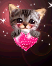 pour toi mon coeur